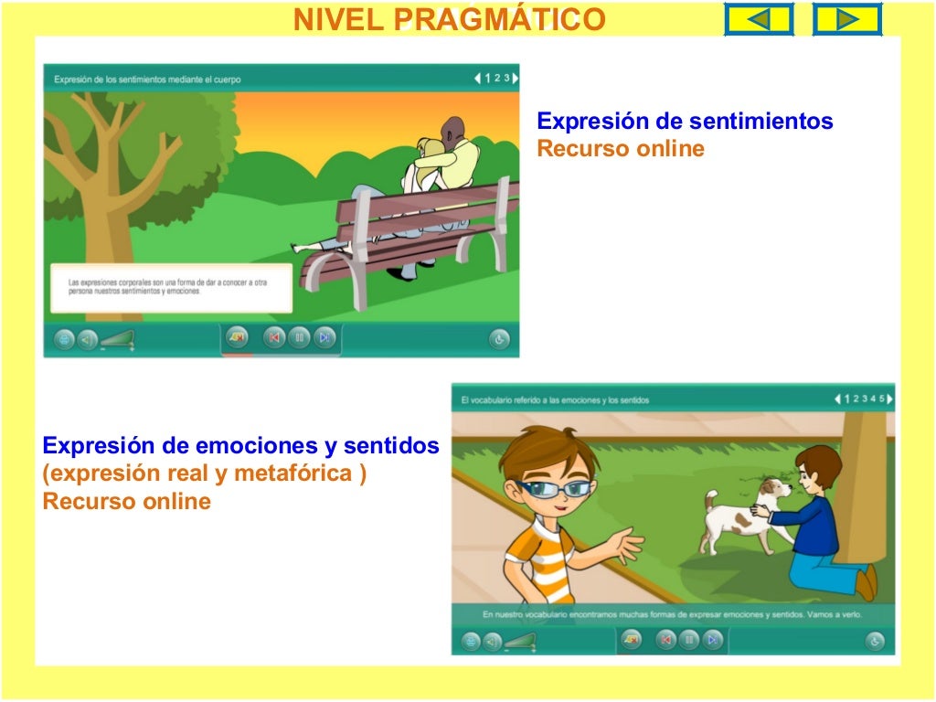 PRAGMÁTICA
