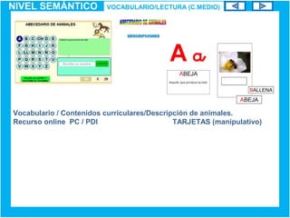 Vocabulario / Contenidos curriculares/Descripción de animales.
Recurso online PC / PDI TARJETAS (manipulativo)
NIVEL SEMÁNTICO VOCABULARIO/LECTURA (C.MEDIO)
 