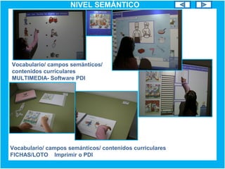NIVEL SEMÁNTICO
Vocabulario/ campos semánticos/
contenidos curriculares
MULTIMEDIA- Software PDI
Vocabulario/ campos semánticos/ contenidos curriculares
FICHAS/LOTO Imprimir o PDI
 