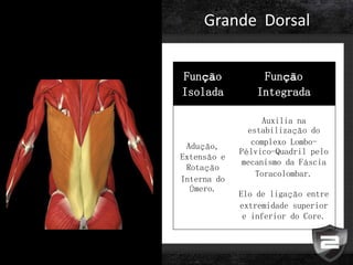 Grande Dorsal
Função
Isolada
Função
Integrada
Adução,
Extensão e
Rotação
Interna do
Úmero.
Auxilia na
estabilização do
complexo Lombo-
Pélvico-Quadril pelo
mecanismo da Fáscia
Toracolombar.
Elo de ligação entre
extremidade superior
e inferior do Core.
 
