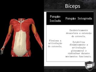 Bíceps
Função
Isolada
Função Integrada
Flexiona a
articulação
do cotovelo.
Excêntricamente
desacelera a extensão
do cotovelo.
Estabiliza
dinâmicamente a
articulação
glenoumeral e
rádioulnar durante
movimentos funcionais.
 