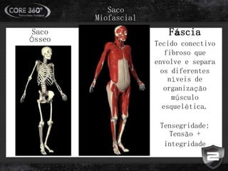 Saco
Miofascial
Saco
Ósseo
Fáscia
Tecido conectivo
fibroso que
envolve e separa
os diferentes
níveis de
organização
músculo
esquelética.
Tensegridade:
Tensão +
integridade
 