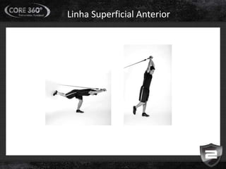 Linha Superficial Anterior
 