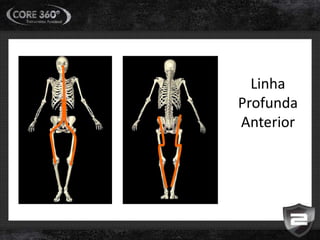 Linha
Profunda
Anterior
 