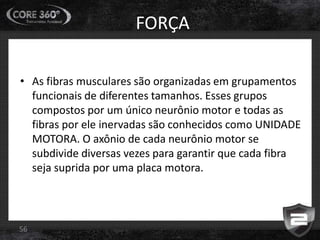 FORÇA
• As fibras musculares são organizadas em grupamentos
funcionais de diferentes tamanhos. Esses grupos
compostos por um único neurônio motor e todas as
fibras por ele inervadas são conhecidos como UNIDADE
MOTORA. O axônio de cada neurônio motor se
subdivide diversas vezes para garantir que cada fibra
seja suprida por uma placa motora.
56
 