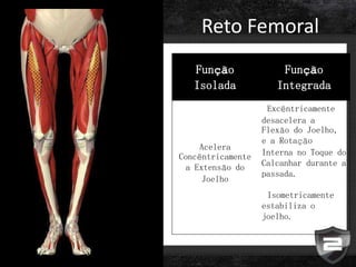 Reto Femoral
Função
Isolada
Função
Integrada
Acelera
Concêntricamente
a Extensão do
Joelho
-Excêntricamente
desacelera a
Flexão do Joelho,
e a Rotação
Interna no Toque do
Calcanhar durante a
passada.
-Isometricamente
estabiliza o
joelho.
 
