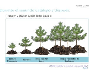 ¿Cómo empezar a construir tu negocio hoy?
Curso 2
Durante el segundo Catálogo y después:
¡Trabajen y crezcan juntos como equipo!
Contacto
Permanante
Reconoce
Invita y asistan
juntos
Inspira y sé modelo de
duplicación
 