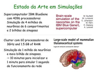 Estado da Arte em Simulações
Supercomputador IBM BlueGene
  com 4096 processadores
  Simulação de 4 milhões de
  neurônios de 6 compartimentos
  e 2 bilhões de sinapses


Cluster com 60 processadores de
  3GHz and 1.5 GB of RAM
Simulação de 1 milhão de neurônios
  e meio bilhão de sinapses.
  → 10 minutos para inicializar e
  1 minuto para simular 1 segundo
  de funcionamento da rede
 