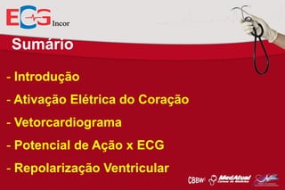 Sumário
- Introdução

- Ativação Elétrica do Coração
- Vetorcardiograma
- Potencial de Ação x ECG

- Repolarização Ventricular

 
