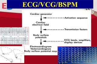 ECG/VCG/BSPM

 