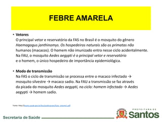 FEBRE AMARELA
• Vetores
O principal vetor e reservatório da FAS no Brasil é o mosquito do gênero
Haemagogus janthinomys. Os hospedeiros naturais são os primatas não
humanos (macacos). O homem não imunizado entra nesse ciclo acidentalmente.
Na FAU, o mosquito Aedes aegypti é o principal vetor e reservatório
e o homem, o único hospedeiro de importância epidemiológica.
• Modo de transmissão
Na FAS o ciclo de transmissão se processa entre o macaco infectado →
mosquito silvestre → macaco sadio. Na FAU a transmissão se faz através
da picada do mosquito Aedes aegypti, no ciclo: homem infectado → Aedes
aegypti → homem sadio.
Fonte: http://bvsms.saude.gov.br/bvs/publicacoes/Guia_volume1.pdf
 