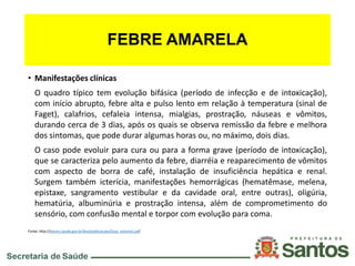 FEBRE AMARELA
• Manifestações clínicas
O quadro típico tem evolução bifásica (período de infecção e de intoxicação),
com início abrupto, febre alta e pulso lento em relação à temperatura (sinal de
Faget), calafrios, cefaleia intensa, mialgias, prostração, náuseas e vômitos,
durando cerca de 3 dias, após os quais se observa remissão da febre e melhora
dos sintomas, que pode durar algumas horas ou, no máximo, dois dias.
O caso pode evoluir para cura ou para a forma grave (período de intoxicação),
que se caracteriza pelo aumento da febre, diarréia e reaparecimento de vômitos
com aspecto de borra de café, instalação de insuficiência hepática e renal.
Surgem também icterícia, manifestações hemorrágicas (hematêmase, melena,
epistaxe, sangramento vestibular e da cavidade oral, entre outras), oligúria,
hematúria, albuminúria e prostração intensa, além de comprometimento do
sensório, com confusão mental e torpor com evolução para coma.
Fonte: http://bvsms.saude.gov.br/bvs/publicacoes/Guia_volume1.pdf
 
