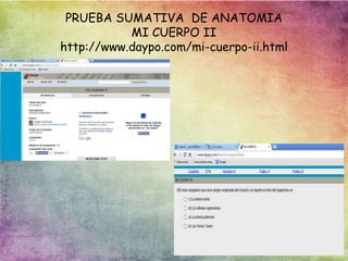 PRUEBA SUMATIVA DE ANATOMIA
MI CUERPO II
http://www.daypo.com/mi-cuerpo-ii.html
 