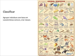 Classificar
Agrupar(indivíduos(com(base(em(
características(comuns,(criar(classes.(

 
