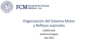 Organización del Sistema Motor
y Reflejos espinales
CURSO ALDE
Guillermo Grigioni
Año 2023
 