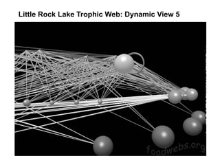 Little Rock Lake Trophic Web: Dynamic View 5
 