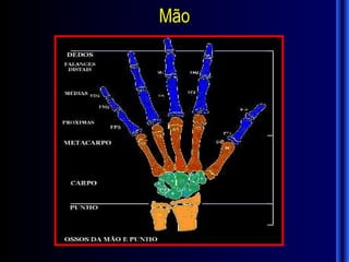 Mão
 