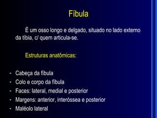 Fíbula
         É um osso longo e delgado, situado no lado externo
    da tíbia, c/ quem articula-se.

        Estruturas anatômicas:

-   Cabeça da fíbula
-   Colo e corpo da fíbula
-   Faces: lateral, medial e posterior
-   Margens: anterior, interóssea e posterior
-   Maléolo lateral
 