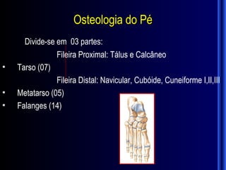 Osteologia do Pé
      Divide-se em 03 partes:
                Fileira Proximal: Tálus e Calcâneo
•   Tarso (07)
                Fileira Distal: Navicular, Cubóide, Cuneiforme I,II,III
•   Metatarso (05)
•   Falanges (14)
 