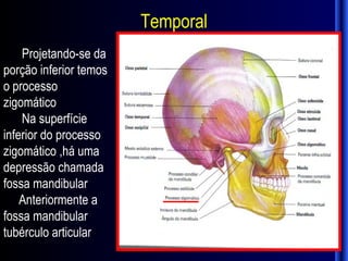 Temporal
    Projetando-se da
porção inferior temos
o processo
zigomático
    Na superfície
inferior do processo
zigomático ,há uma
depressão chamada
fossa mandibular
    Anteriormente a
fossa mandibular
tubérculo articular
 