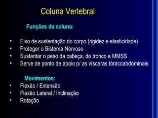 Coluna Vertebral
      Funções da coluna:

•   Eixo de sustentação do corpo (rigidez e elasticidade)
•   Proteger o Sistema Nervoso
•   Sustentar o peso da cabeça, do tronco e MMSS
•   Serve de ponto de apoio p/ as vísceras tóracoabdominais

      Movimentos:
•   Flexão / Extensão
•   Flexão Lateral / Inclinação
•   Rotação
 