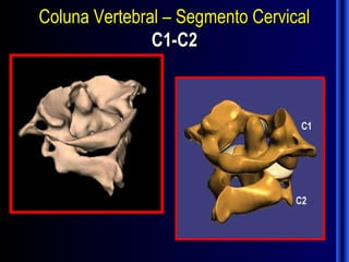 Coluna Vertebral – Segmento Cervical
               C1-C2
 