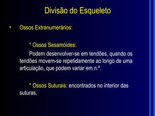 Divisão do Esqueleto
•   Ossos Extranumerários:

         * Ossos Sesamóides:
         Podem desenvolver-se em tendões, quando os
    tendões movem-se repetidamente ao longo de uma
    articulação, que podem variar em n.º.

        * Ossos Suturais: encontrados no interior das
    suturas.
 