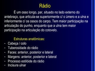 Rádio
        É um osso longo, par, situado no lado externo do
antebraço, que articula-se superiormente c/ o úmero e a ulna e
inferiormente c/ os ossos do carpo. Tem maior participação na
articulação do punho, enquanto que a ulna tem maior
participação na articulação do cotovelo.

         Estruturas anatômicas:
-   Cabeça / colo
-   Tuberosidade do rádio
-   Faces: anterior, posterior e lateral
-   Margens: anterior, posterior e lateral
-   Processo estilóide do rádio
-   Incisura ulnar
 