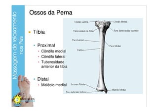 Ossos da Perna


 Tíbia

  Proximal
   ▪ Côndilo medial
   ▪ Côndilo lateral
   ▪ Tuberosidade
     anterior da tíbia


  ...