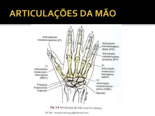 RCVM - renatacristina9.9@hotmail.com 
 