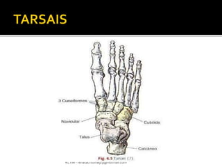 RCVM - renatacristina9.9@hotmail.com 
 