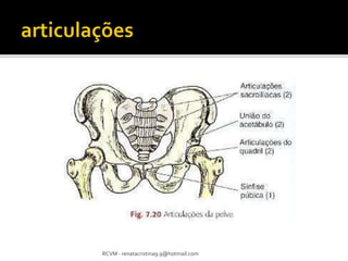 RCVM - renatacristina9.9@hotmail.com 
 