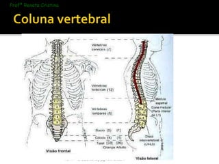 RCVM - renatacristina9.9@hotmail.com 
Profª Renata Cristina 
 