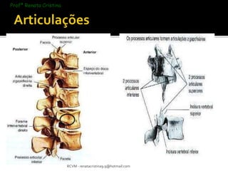 RCVM - renatacristina9.9@hotmail.com 
Profª Renata Cristina 
 