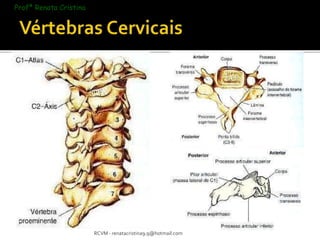 RCVM - renatacristina9.9@hotmail.com 
Profª Renata Cristina 
 