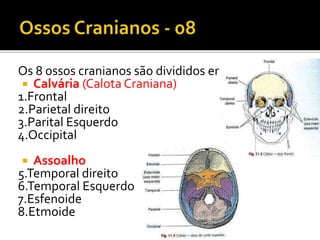 Os 8 ossos cranianos são divididos em: 
 Calvária (Calota Craniana) 
1.Frontal 
2.Parietal direito 
3.Parital Esquerdo 
4.Occipital 
 Assoalho 
5.Temporal direito 
6.Temporal Esquerdo 
7.Esfenoide 
8.Etmoide 
 
