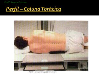 RCVM - renatacristina9.9@hotmail.com 
Profª Renata Cristina 
 