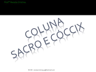 RCVM - renatacristina9.9@hotmail.com 
Profª Renata Cristina 
 