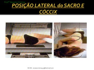 RCVM - renatacristina9.9@hotmail.com 
Profª Renata Cristina 
 