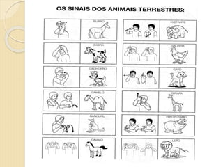 Curso animais aula 3