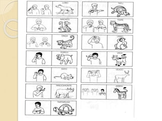 Curso animais aula 3