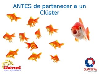 ANTES de pertenecer a un 
Clúster 
 