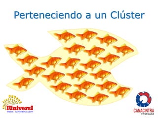 Perteneciendo a un Clúster 
 