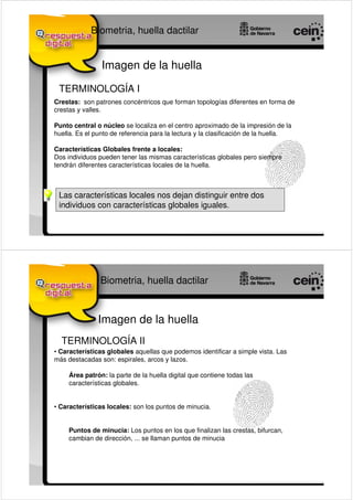 Biometria, huella dactilar


                Imagen de la huella

 TERMINOLOGÍA I
Crestas: son patrones concéntricos que forman topologías diferentes en forma de
crestas y valles.

Punto central o núcleo se localiza en el centro aproximado de la impresión de la
huella. Es el punto de referencia para la lectura y la clasificación de la huella.

Características Globales frente a locales:
Dos individuos pueden tener las mismas características globales pero siempre
tendrán diferentes características locales de la huella.



 Las características locales nos dejan distinguir entre dos
 individuos con características globales iguales.




                Biometria, huella dactilar



               Imagen de la huella
  TERMINOLOGÍA II
• Características globales aquellas que podemos identificar a simple vista. Las
más destacadas son: espirales, arcos y lazos.

     Área patrón: la parte de la huella digital que contiene todas las
     características globales.


• Características locales: son los puntos de minucia.


     Puntos de minucia: Los puntos en los que finalizan las crestas, bifurcan,
     cambian de dirección, ... se llaman puntos de minucia
 