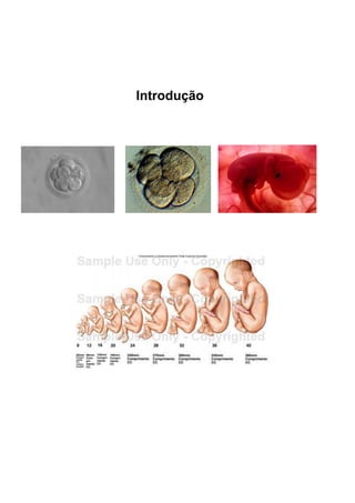 Introdução
 