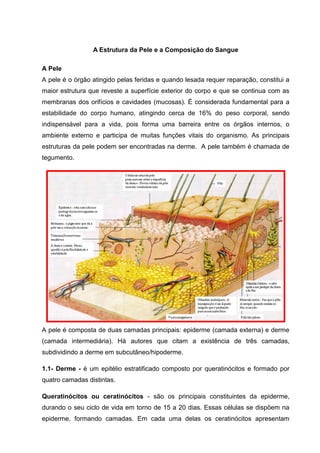 A Estrutura da Pele e a Composição do Sangue
A Pele
A pele é o órgão atingido pelas feridas e quando lesada requer reparação, constitui a
maior estrutura que reveste a superfície exterior do corpo e que se continua com as
membranas dos orifícios e cavidades (mucosas). É considerada fundamental para a
estabilidade do corpo humano, atingindo cerca de 16% do peso corporal, sendo
indispensável para a vida, pois forma uma barreira entre os órgãos internos, o
ambiente externo e participa de muitas funções vitais do organismo. As principais
estruturas da pele podem ser encontradas na derme. A pele também é chamada de
tegumento.
A pele é composta de duas camadas principais: epiderme (camada externa) e derme
(camada intermediária). Há autores que citam a existência de três camadas,
subdividindo a derme em subcutâneo/hipoderme.
1.1- Derme - é um epitélio estratificado composto por queratinócitos e formado por
quatro camadas distintas.
Queratinócitos ou ceratinócitos - são os principais constituintes da epiderme,
durando o seu ciclo de vida em torno de 15 a 20 dias. Essas células se dispõem na
epiderme, formando camadas. Em cada uma delas os ceratinócitos apresentam
 