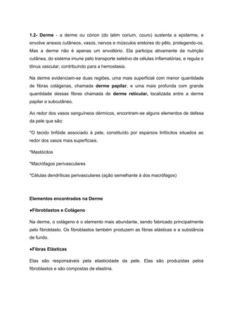 1.2- Derme - a derme ou córion (do latim corium, couro) sustenta a epiderme, e
envolve anexos cutâneos, vasos, nervos e músculos eretores do pêlo, protegendo-os.
Mas a derme não é apenas um envoltório. Ela participa ativamente da nutrição
cutânea, do sistema imune pelo transporte seletivo de células inflamatórias, e regula o
tônus vascular, contribuindo para a hemostasia.
Na derme evidenciam-se duas regiões, uma mais superficial com menor quantidade
de fibras colágenas, chamada derme papilar, e uma mais profunda com grande
quantidade dessas fibras chamada de derme reticular, localizada entre a derme
papilar e subcutâneo.
Ao redor dos vasos sanguíneos dérmicos, encontram-se alguns elementos de defesa
da pele que são:
*O tecido linfóide associado à pele, constituído por esparsos linfócitos situados ao
redor dos vasos mais superficiais.
*Mastócitos
*Macrófagos perivasculares
*Células dendríticas perivasculares (ação semelhante à dos macrófagos)
Elementos encontrados na Derme
●Fibroblastos e Colágeno
Na derme, o colágeno é o elemento mais abundante, sendo fabricado principalmente
pelo fibroblasto. Os fibroblastos também produzem as fibras elásticas e a substância
de fundo.
●Fibras Elásticas
Elas são responsáveis pela elasticidade da pele. Elas são produzidas pelos
fibroblastos e são compostas de elastina.
 
