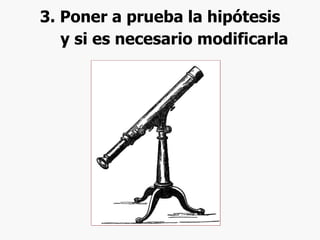 3. Poner a prueba la hipótesis   y si es necesario modificarla 