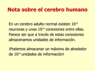 Nota sobre el cerebro humano En un cerebro adulto normal existen 10 11  neuronas y unas 10 14  conexiones entre ellas. Parece ser que a través de estas conexiones almacenamos unidades de información. ¡Podemos almacenar un máximo de alrededor de 10 14  unidades de información! 