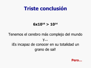 Triste conclusión 6x10 16   > 10 14 Tenemos el cerebro más complejo del mundo y... ¡Es incapaz de conocer en su totalidad un grano de sal! Pero… 